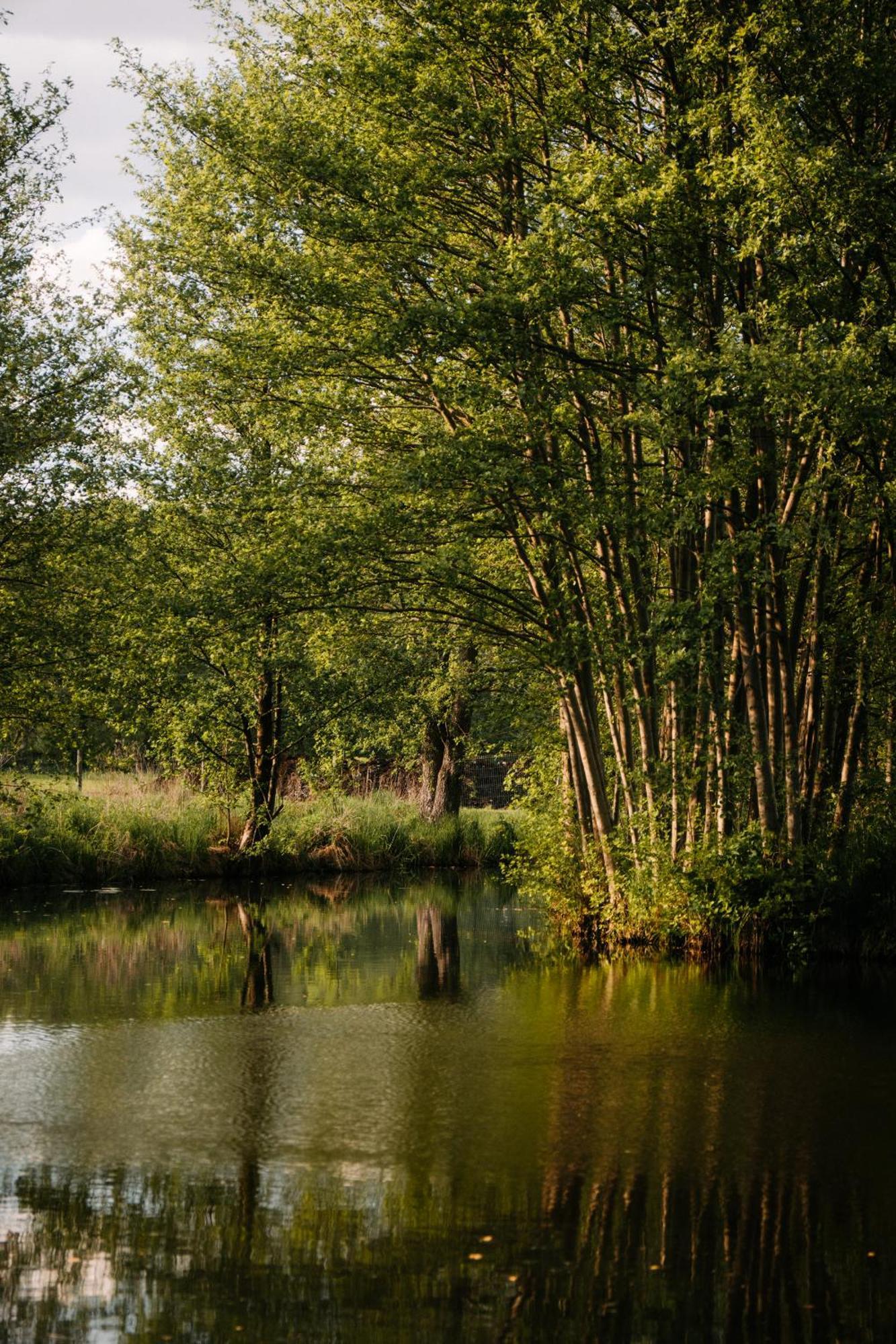Palac Srodka Chrzypsko Wielkie Экстерьер фото